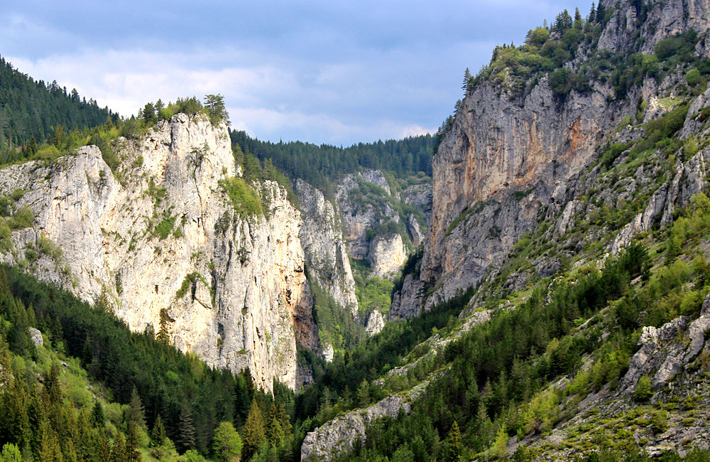 El Rhodopes