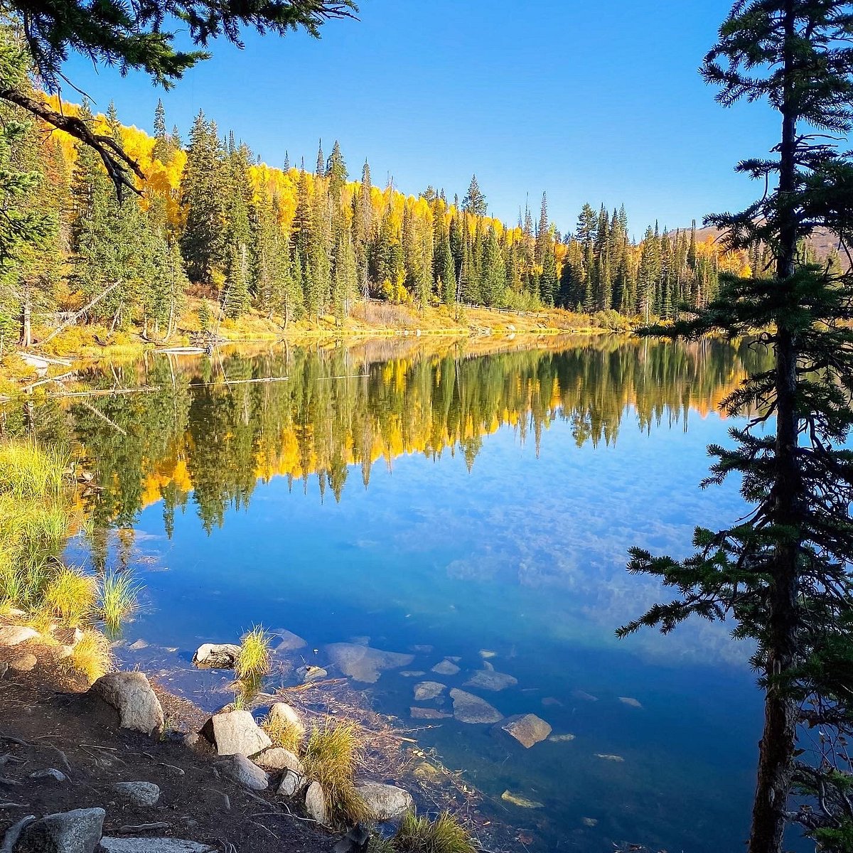 El Parque Nacional de Silver Lake