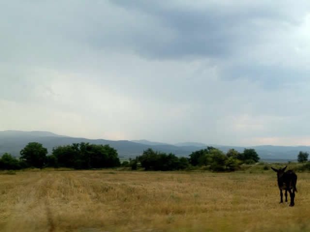 bul 10 20180213 1890039262